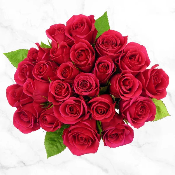 Premium Roses, Assorted Colors