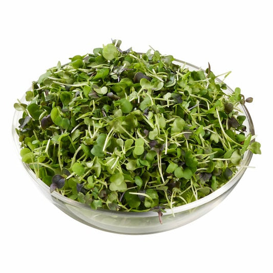 Microgreens Rainbow Mix, 6 oz