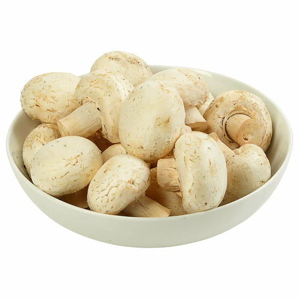 Hongos blancos grandes de primera calidad, 24 oz